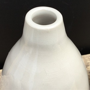 Botz Penselglasyr för keramik, Transparent, vassektion